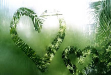 开云-Scout回归赛场,回归赛场首场状态亮眼,勇士观众沸腾!的简单介绍